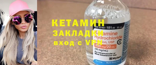 сатива Вяземский