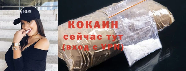 СК Снежногорск