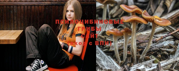 СК Волосово