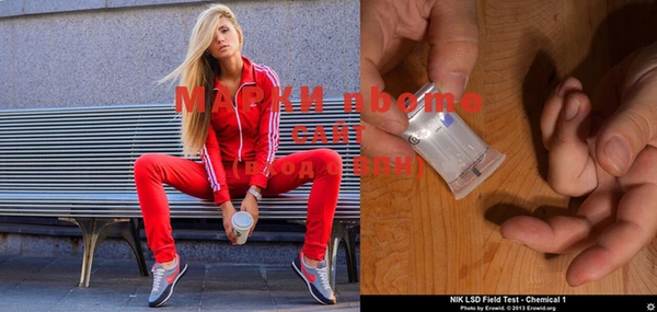 сатива Вяземский